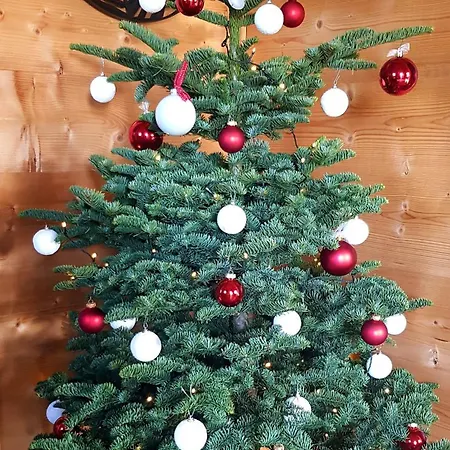 Aux Deux Chênes Diebolsheim