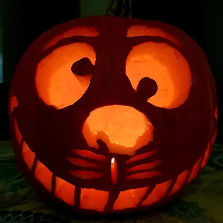 Aux Deux Chênes Chalé