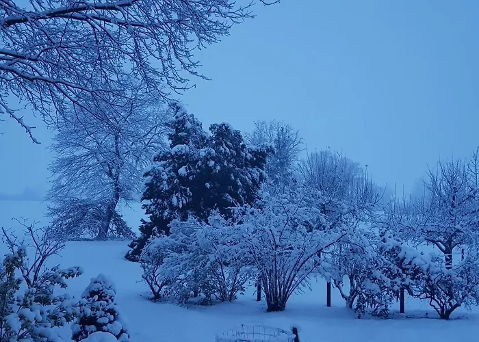 Aux Deux Chênes * Diebolsheim